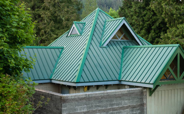 Best Solar Panel Roofing Installation  in Nassau Bay, TX